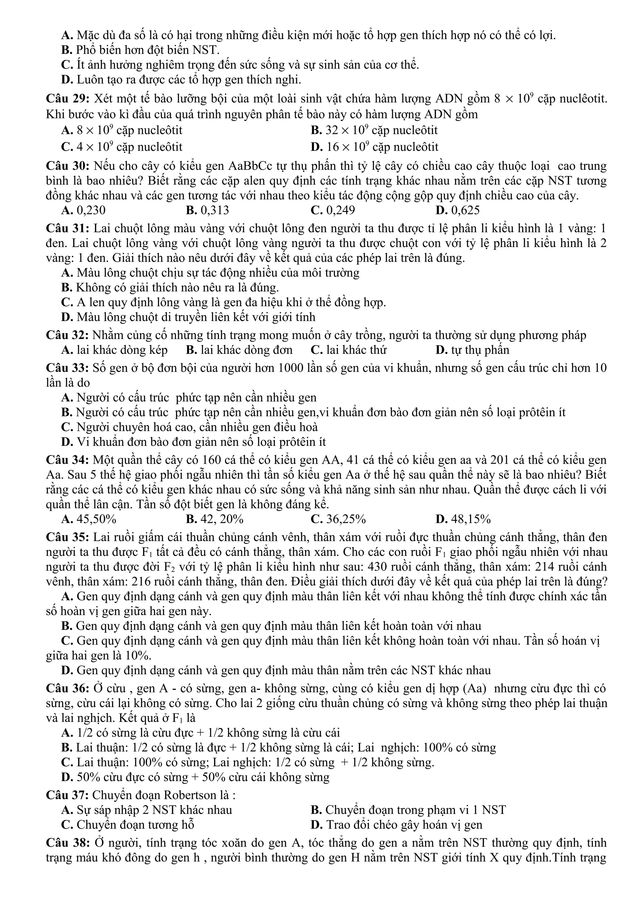 A. Mặc dù đa số là có hại trong những điều kiện mới hoặc tổ hợp gen thích hợp nó có thể có lợi.
B. Phổ biến hơn đột biến NST.
C. Ít ảnh hưởng nghiêm trọng đến sức sống và sự sinh sản của cơ thể.
D. Luôn tạo ra được các tổ hợp gen thích nghi.
Câu 29: Xét một tế bào lưỡng bội của một loài sinh vật chứa hàm lượng ADN gồm 8 × 109
cặp nuclêotit.
Khi bước vào kì đầu của quá trình nguyên phân tế bào này có hàm lượng ADN gồm
A. 8 × 109
cặp nucleôtit B. 32 × 109
cặp nucleôtit
C. 4 × 109
cặp nucleôtit D. 16 × 109
cặp nucleôtit
Câu 30: Nếu cho cây có kiểu gen AaBbCc tự thụ phấn thì tỷ lệ cây có chiều cao cây thuộc loại cao trung
bình là bao nhiêu? Biết rằng các cặp alen quy định các tính trạng khác nhau nằm trên các cặp NST tương
đồng khác nhau và các gen tương tác với nhau theo kiểu tác động cộng gộp quy định chiều cao của cây.
A. 0,230 B. 0,313 C. 0,249 D. 0,625
Câu 31: Lai chuột lông màu vàng với chuột lông đen người ta thu được tỉ lệ phân li kiểu hình là 1 vàng: 1
đen. Lai chuột lông vàng với chuột lông vàng người ta thu được chuột con với tỷ lệ phân li kiểu hình là 2
vàng: 1 đen. Giải thích nào nêu dưới đây về kết quả của các phép lai trên là đúng.
A. Màu lông chuột chịu sự tác động nhiều của môi trường
B. Không có giải thích nào nêu ra là đúng.
C. A len quy định lông vàng là gen đa hiệu khi ở thể đồng hợp.
D. Màu lông chuột di truyền liên kết với giới tính
Câu 32: Nhằm củng cố những tính trạng mong muốn ở cây trồng, người ta thường sử dụng phương pháp
A. lai khác dòng kép B. lai khác dòng đơn C. lai khác thứ D. tự thụ phấn
Câu 33: Số gen ở bộ đơn bội của người hơn 1000 lần số gen của vi khuẩn, nhưng số gen cấu trúc chỉ hơn 10
lần là do
A. Người có cấu trúc phức tạp nên cần nhiều gen
B. Người có cấu trúc phức tạp nên cần nhiều gen,vi khuẩn đơn bào đơn giản nên số loại prôtêin ít
C. Người chuyên hoá cao, cần nhiều gen điều hoà
D. Vi khuẩn đơn bào đơn giản nên số loại prôtêin ít
Câu 34: Một quần thể cây có 160 cá thể có kiểu gen AA, 41 cá thể có kiểu gen aa và 201 cá thể có kiểu gen
Aa. Sau 5 thế hệ giao phối ngẫu nhiên thì tần số kiểu gen Aa ở thế hệ sau quần thể này sẽ là bao nhiêu? Biết
rằng các cá thể có kiểu gen khác nhau có sức sống và khả năng sinh sản như nhau. Quần thể được cách li với
quần thể lân cận. Tần số đột biết gen là không đáng kể.
A. 45,50% B. 42, 20% C. 36,25% D. 48,15%
Câu 35: Lai ruồi giấm cái thuần chủng cánh vênh, thân xám với ruồi đực thuần chủng cánh thẳng, thân đen
người ta thu được F1 tất cả đều có cánh thẳng, thân xám. Cho các con ruồi F1 giao phối ngẫu nhiên với nhau
người ta thu được đời F2 với tỷ lệ phân li kiểu hình như sau: 430 ruồi cánh thẳng, thân xám: 214 ruồi cánh
vênh, thân xám: 216 ruồi cánh thẳng, thân đen. Điều giải thích dưới đây về kết quả của phép lai trên là đúng?
A. Gen quy định dạng cánh và gen quy định màu thân liên kết với nhau không thể tính được chính xác tần
số hoàn vị gen giữa hai gen này.
B. Gen quy định dạng cánh và gen quy định màu thân liên kết hoàn toàn với nhau
C. Gen quy định dạng cánh và gen quy định màu thân liên kết không hoàn toàn với nhau. Tần số hoán vị
giữa hai gen là 10%.
D. Gen quy định dạng cánh và gen quy định màu thân nằm trên các NST khác nhau
Câu 36: Ở cừu , gen A - có sừng, gen a- không sừng, cùng có kiểu gen dị hợp (Aa) nhưng cừu đực thì có
sừng, cừu cái lại không có sừng. Cho lai 2 giống cừu thuần chủng có sừng và không sừng theo phép lai thuận
và lai nghịch. Kết quả ở F1 là
A. 1/2 có sừng là cừu đực + 1/2 không sừng là cừu cái
B. Lai thuận: 1/2 có sừng là đực + 1/2 không sừng là cái; Lai nghịch: 100% có sừng
C. Lai thuận: 100% có sừng; Lai nghịch: 1/2 có sừng + 1/2 không sừng.
D. 50% cừu đực có sừng + 50% cừu cái không sừng
Câu 37: Chuyển đoạn Robertson là :
A. Sự sáp nhập 2 NST khác nhau B. Chuyển đoạn trong phạm vi 1 NST
C. Chuyển đoạn tương hỗ D. Trao đổi chéo gây hoán vị gen
Câu 38: Ở người, tính trạng tóc xoăn do gen A, tóc thẳng do gen a nằm trên NST thường quy định, tính
trạng máu khó đông do gen h , người bình thường do gen H nằm trên NST giới tính X quy định.Tính trạng
 