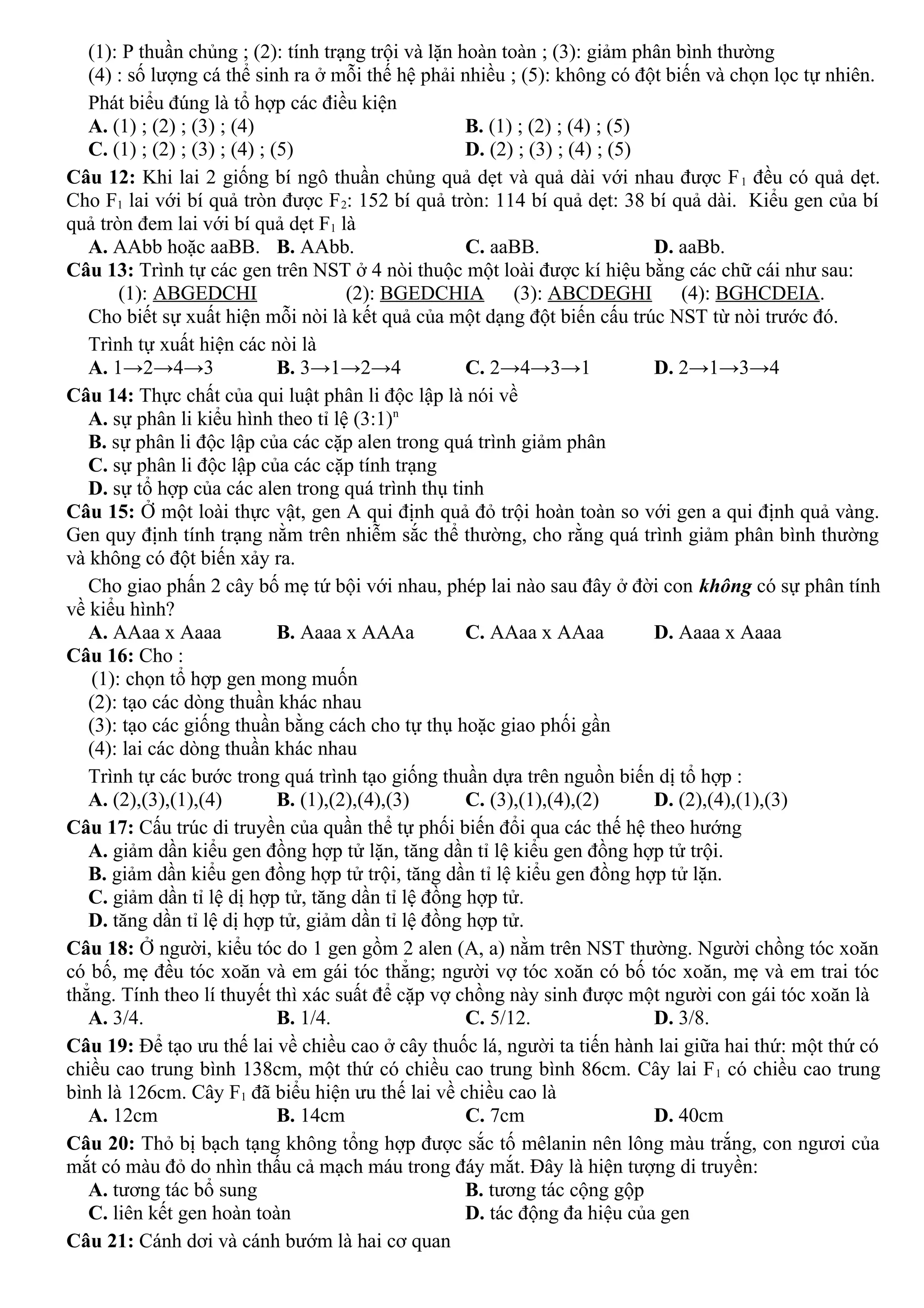 (1): P thuần chủng ; (2): tính trạng trội và lặn hoàn toàn ; (3): giảm phân bình thường
(4) : số lượng cá thể sinh ra ở mỗi thế hệ phải nhiều ; (5): không có đột biến và chọn lọc tự nhiên.
Phát biểu đúng là tổ hợp các điều kiện
A. (1) ; (2) ; (3) ; (4) B. (1) ; (2) ; (4) ; (5)
C. (1) ; (2) ; (3) ; (4) ; (5) D. (2) ; (3) ; (4) ; (5)
Câu 12: Khi lai 2 giống bí ngô thuần chủng quả dẹt và quả dài với nhau được F1 đều có quả dẹt.
Cho F1 lai với bí quả tròn được F2: 152 bí quả tròn: 114 bí quả dẹt: 38 bí quả dài. Kiểu gen của bí
quả tròn đem lai với bí quả dẹt F1 là
A. AAbb hoặc aaBB. B. AAbb. C. aaBB. D. aaBb.
Câu 13: Trình tự các gen trên NST ở 4 nòi thuộc một loài được kí hiệu bằng các chữ cái như sau:
(1): ABGEDCHI (2): BGEDCHIA (3): ABCDEGHI (4): BGHCDEIA.
Cho biết sự xuất hiện mỗi nòi là kết quả của một dạng đột biến cấu trúc NST từ nòi trước đó.
Trình tự xuất hiện các nòi là
A. 1→2→4→3 B. 3→1→2→4 C. 2→4→3→1 D. 2→1→3→4
Câu 14: Thực chất của qui luật phân li độc lập là nói về
A. sự phân li kiểu hình theo tỉ lệ (3:1)n
B. sự phân li độc lập của các cặp alen trong quá trình giảm phân
C. sự phân li độc lập của các cặp tính trạng
D. sự tổ hợp của các alen trong quá trình thụ tinh
Câu 15: Ở một loài thực vật, gen A qui định quả đỏ trội hoàn toàn so với gen a qui định quả vàng.
Gen quy định tính trạng nằm trên nhiễm sắc thể thường, cho rằng quá trình giảm phân bình thường
và không có đột biến xảy ra.
Cho giao phấn 2 cây bố mẹ tứ bội với nhau, phép lai nào sau đây ở đời con không có sự phân tính
về kiểu hình?
A. AAaa x Aaaa B. Aaaa x AAAa C. AAaa x AAaa D. Aaaa x Aaaa
Câu 16: Cho :
(1): chọn tổ hợp gen mong muốn
(2): tạo các dòng thuần khác nhau
(3): tạo các giống thuần bằng cách cho tự thụ hoặc giao phối gần
(4): lai các dòng thuần khác nhau
Trình tự các bước trong quá trình tạo giống thuần dựa trên nguồn biến dị tổ hợp :
A. (2),(3),(1),(4) B. (1),(2),(4),(3) C. (3),(1),(4),(2) D. (2),(4),(1),(3)
Câu 17: Cấu trúc di truyền của quần thể tự phối biến đổi qua các thế hệ theo hướng
A. giảm dần kiểu gen đồng hợp tử lặn, tăng dần tỉ lệ kiểu gen đồng hợp tử trội.
B. giảm dần kiểu gen đồng hợp tử trội, tăng dần tỉ lệ kiểu gen đồng hợp tử lặn.
C. giảm dần tỉ lệ dị hợp tử, tăng dần tỉ lệ đồng hợp tử.
D. tăng dần tỉ lệ dị hợp tử, giảm dần tỉ lệ đồng hợp tử.
Câu 18: Ở người, kiểu tóc do 1 gen gồm 2 alen (A, a) nằm trên NST thường. Người chồng tóc xoăn
có bố, mẹ đều tóc xoăn và em gái tóc thẳng; người vợ tóc xoăn có bố tóc xoăn, mẹ và em trai tóc
thẳng. Tính theo lí thuyết thì xác suất để cặp vợ chồng này sinh được một người con gái tóc xoăn là
A. 3/4. B. 1/4. C. 5/12. D. 3/8.
Câu 19: Để tạo ưu thế lai về chiều cao ở cây thuốc lá, người ta tiến hành lai giữa hai thứ: một thứ có
chiều cao trung bình 138cm, một thứ có chiều cao trung bình 86cm. Cây lai F1 có chiều cao trung
bình là 126cm. Cây F1 đã biểu hiện ưu thế lai về chiều cao là
A. 12cm B. 14cm C. 7cm D. 40cm
Câu 20: Thỏ bị bạch tạng không tổng hợp được sắc tố mêlanin nên lông màu trắng, con ngươi của
mắt có màu đỏ do nhìn thấu cả mạch máu trong đáy mắt. Đây là hiện tượng di truyền:
A. tương tác bổ sung B. tương tác cộng gộp
C. liên kết gen hoàn toàn D. tác động đa hiệu của gen
Câu 21: Cánh dơi và cánh bướm là hai cơ quan
 