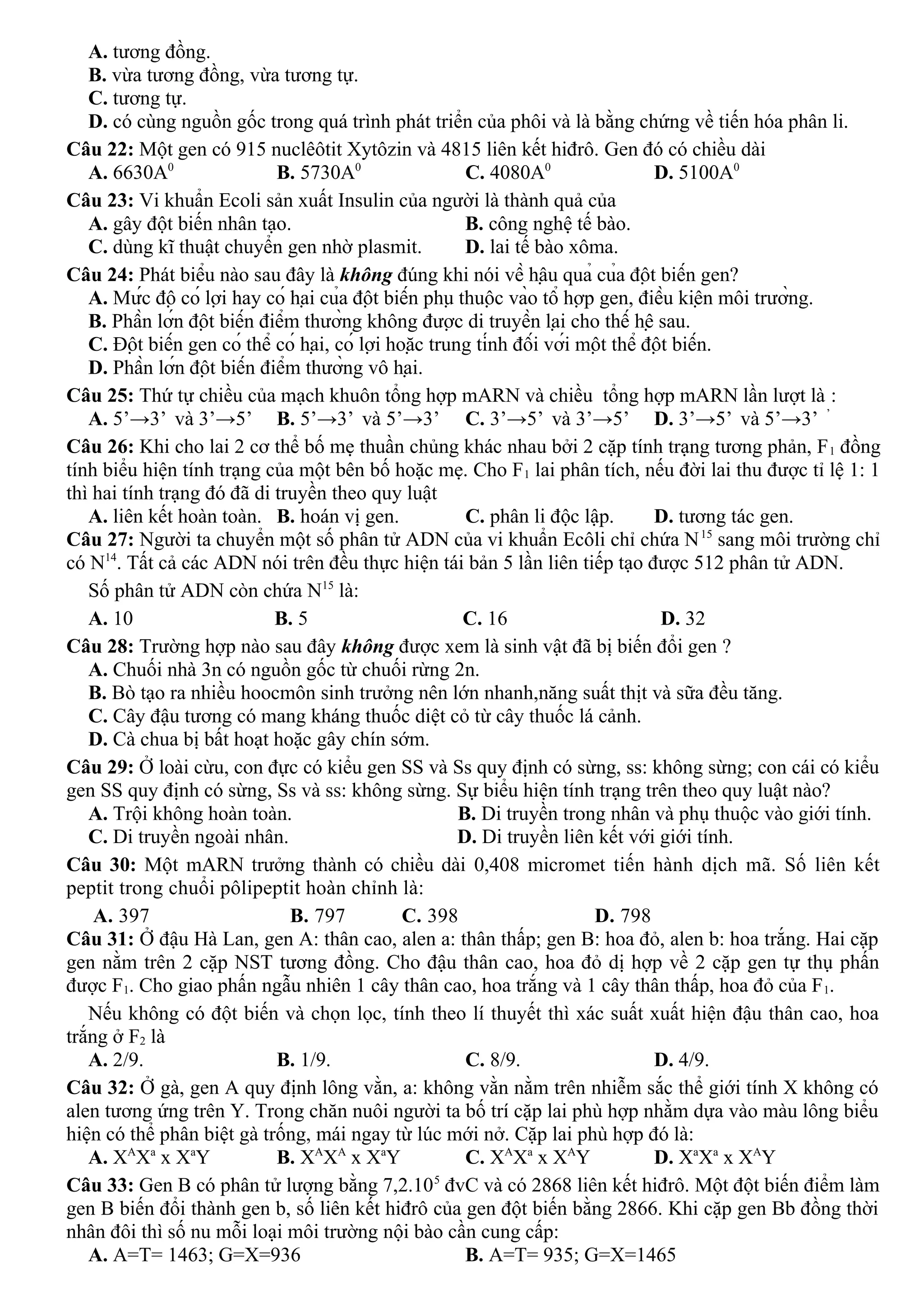 A. tương đồng.
B. vừa tương đồng, vừa tương tự.
C. tương tự.
D. có cùng nguồn gốc trong quá trình phát triển của phôi và là bằng chứng về tiến hóa phân li.
Câu 22: Một gen có 915 nuclêôtit Xytôzin và 4815 liên kết hiđrô. Gen đó có chiều dài
A. 6630A0
B. 5730A0
C. 4080A0
D. 5100A0
Câu 23: Vi khuẩn Ecoli sản xuất Insulin của người là thành quả của
A. gây đột biến nhân tạo. B. công nghệ tế bào.
C. dùng kĩ thuật chuyển gen nhờ plasmit. D. lai tế bào xôma.
Câu 24: Phát biểu nào sau đây là không đúng khi nói về hậu quả của đột biến gen?
A. Mức độ có lợi hay có hại của đột biến phụ thuộc vào tổ hợp gen, điều kiện môi trường.
B. Phần lớn đột biến điểm thường không được di truyền lại cho thế hệ sau.
C. Đột biến gen có thể có hại, có lợi hoặc trung tính đối với một thể đột biến.
D. Phần lớn đột biến điểm thường vô hại.
Câu 25: Thứ tự chiều của mạch khuôn tổng hợp mARN và chiều tổng hợp mARN lần lượt là :
A. 5’→3’ và 3’→5’ B. 5’→3’ và 5’→3’ C. 3’→5’ và 3’→5’ D. 3’→5’ và 5’→3’ ’
Câu 26: Khi cho lai 2 cơ thể bố mẹ thuần chủng khác nhau bởi 2 cặp tính trạng tương phản, F1 đồng
tính biểu hiện tính trạng của một bên bố hoặc mẹ. Cho F1 lai phân tích, nếu đời lai thu được tỉ lệ 1: 1
thì hai tính trạng đó đã di truyền theo quy luật
A. liên kết hoàn toàn. B. hoán vị gen. C. phân li độc lập. D. tương tác gen.
Câu 27: Người ta chuyển một số phân tử ADN của vi khuẩn Ecôli chỉ chứa N15
sang môi trường chỉ
có N14
. Tất cả các ADN nói trên đều thực hiện tái bản 5 lần liên tiếp tạo được 512 phân tử ADN.
Số phân tử ADN còn chứa N15
là:
A. 10 B. 5 C. 16 D. 32
Câu 28: Trường hợp nào sau đây không được xem là sinh vật đã bị biến đổi gen ?
A. Chuối nhà 3n có nguồn gốc từ chuối rừng 2n.
B. Bò tạo ra nhiều hoocmôn sinh trưởng nên lớn nhanh,năng suất thịt và sữa đều tăng.
C. Cây đậu tương có mang kháng thuốc diệt cỏ từ cây thuốc lá cảnh.
D. Cà chua bị bất hoạt hoặc gây chín sớm.
Câu 29: Ở loài cừu, con đực có kiểu gen SS và Ss quy định có sừng, ss: không sừng; con cái có kiểu
gen SS quy định có sừng, Ss và ss: không sừng. Sự biểu hiện tính trạng trên theo quy luật nào?
A. Trội không hoàn toàn. B. Di truyền trong nhân và phụ thuộc vào giới tính.
C. Di truyền ngoài nhân. D. Di truyền liên kết với giới tính.
Câu 30: Một mARN trưởng thành có chiều dài 0,408 micromet tiến hành dịch mã. Số liên kết
peptit trong chuổi pôlipeptit hoàn chỉnh là:
A. 397 B. 797 C. 398 D. 798
Câu 31: Ở đậu Hà Lan, gen A: thân cao, alen a: thân thấp; gen B: hoa đỏ, alen b: hoa trắng. Hai cặp
gen nằm trên 2 cặp NST tương đồng. Cho đậu thân cao, hoa đỏ dị hợp về 2 cặp gen tự thụ phấn
được F1. Cho giao phấn ngẫu nhiên 1 cây thân cao, hoa trắng và 1 cây thân thấp, hoa đỏ của F1.
Nếu không có đột biến và chọn lọc, tính theo lí thuyết thì xác suất xuất hiện đậu thân cao, hoa
trắng ở F2 là
A. 2/9. B. 1/9. C. 8/9. D. 4/9.
Câu 32: Ở gà, gen A quy định lông vằn, a: không vằn nằm trên nhiễm sắc thể giới tính X không có
alen tương ứng trên Y. Trong chăn nuôi người ta bố trí cặp lai phù hợp nhằm dựa vào màu lông biểu
hiện có thể phân biệt gà trống, mái ngay từ lúc mới nở. Cặp lai phù hợp đó là:
A. XA
Xa
x Xa
Y B. XA
XA
x Xa
Y C. XA
Xa
x XA
Y D. Xa
Xa
x XA
Y
Câu 33: Gen B có phân tử lượng bằng 7,2.105
đvC và có 2868 liên kết hiđrô. Một đột biến điểm làm
gen B biến đổi thành gen b, số liên kết hiđrô của gen đột biến bằng 2866. Khi cặp gen Bb đồng thời
nhân đôi thì số nu mỗi loại môi trường nội bào cần cung cấp:
A. A=T= 1463; G=X=936 B. A=T= 935; G=X=1465
 