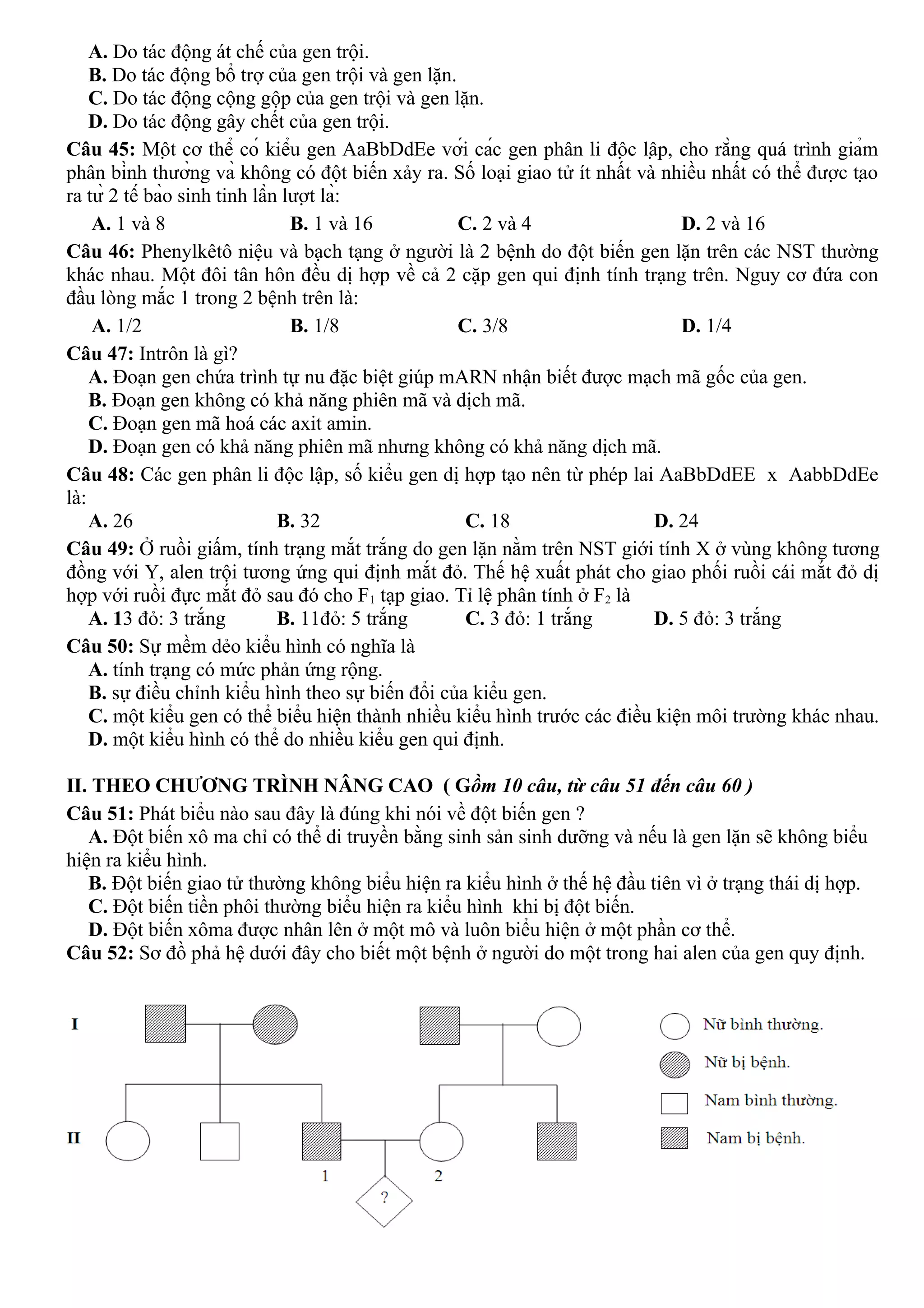 A. Do tác động át chế của gen trội.
B. Do tác động bổ trợ của gen trội và gen lặn.
C. Do tác động cộng gộp của gen trội và gen lặn.
D. Do tác động gây chết của gen trội.
Câu 45: Một cơ thể có kiểu gen AaBbDdEe với các gen phân li độc lập, cho rằng quá trình giảm
phân bình thường và không có đột biến xảy ra. Số loại giao tử ít nhất và nhiều nhất có thể được tạo
ra từ 2 tế bào sinh tinh lần lượt là:
A. 1 và 8 B. 1 và 16 C. 2 và 4 D. 2 và 16
Câu 46: Phenylkêtô niệu và bạch tạng ở người là 2 bệnh do đột biến gen lặn trên các NST thường
khác nhau. Một đôi tân hôn đều dị hợp về cả 2 cặp gen qui định tính trạng trên. Nguy cơ đứa con
đầu lòng mắc 1 trong 2 bệnh trên là:
A. 1/2 B. 1/8 C. 3/8 D. 1/4
Câu 47: Intrôn là gì?
A. Đoạn gen chứa trình tự nu đặc biệt giúp mARN nhận biết được mạch mã gốc của gen.
B. Đoạn gen không có khả năng phiên mã và dịch mã.
C. Đoạn gen mã hoá các axit amin.
D. Đoạn gen có khả năng phiên mã nhưng không có khả năng dịch mã.
Câu 48: Các gen phân li độc lập, số kiểu gen dị hợp tạo nên từ phép lai AaBbDdEE x AabbDdEe
là:
A. 26 B. 32 C. 18 D. 24
Câu 49: Ở ruồi giấm, tính trạng mắt trắng do gen lặn nằm trên NST giới tính X ở vùng không tương
đồng với Y, alen trội tương ứng qui định mắt đỏ. Thế hệ xuất phát cho giao phối ruồi cái mắt đỏ dị
hợp với ruồi đực mắt đỏ sau đó cho F1 tạp giao. Tỉ lệ phân tính ở F2 là
A. 13 đỏ: 3 trắng B. 11đỏ: 5 trắng C. 3 đỏ: 1 trắng D. 5 đỏ: 3 trắng
Câu 50: Sự mềm dẻo kiểu hình có nghĩa là
A. tính trạng có mức phản ứng rộng.
B. sự điều chỉnh kiểu hình theo sự biến đổi của kiểu gen.
C. một kiểu gen có thể biểu hiện thành nhiều kiểu hình trước các điều kiện môi trường khác nhau.
D. một kiểu hình có thể do nhiều kiểu gen qui định.
II. THEO CHƯƠNG TRÌNH NÂNG CAO ( Gồm 10 câu, từ câu 51 đến câu 60 )
Câu 51: Phát biểu nào sau đây là đúng khi nói về đột biến gen ?
A. Đột biến xô ma chỉ có thể di truyền bằng sinh sản sinh dưỡng và nếu là gen lặn sẽ không biểu
hiện ra kiểu hình.
B. Đột biến giao tử thường không biểu hiện ra kiểu hình ở thế hệ đầu tiên vì ở trạng thái dị hợp.
C. Đột biến tiền phôi thường biểu hiện ra kiểu hình khi bị đột biến.
D. Đột biến xôma được nhân lên ở một mô và luôn biểu hiện ở một phần cơ thể.
Câu 52: Sơ đồ phả hệ dưới đây cho biết một bệnh ở người do một trong hai alen của gen quy định.
 