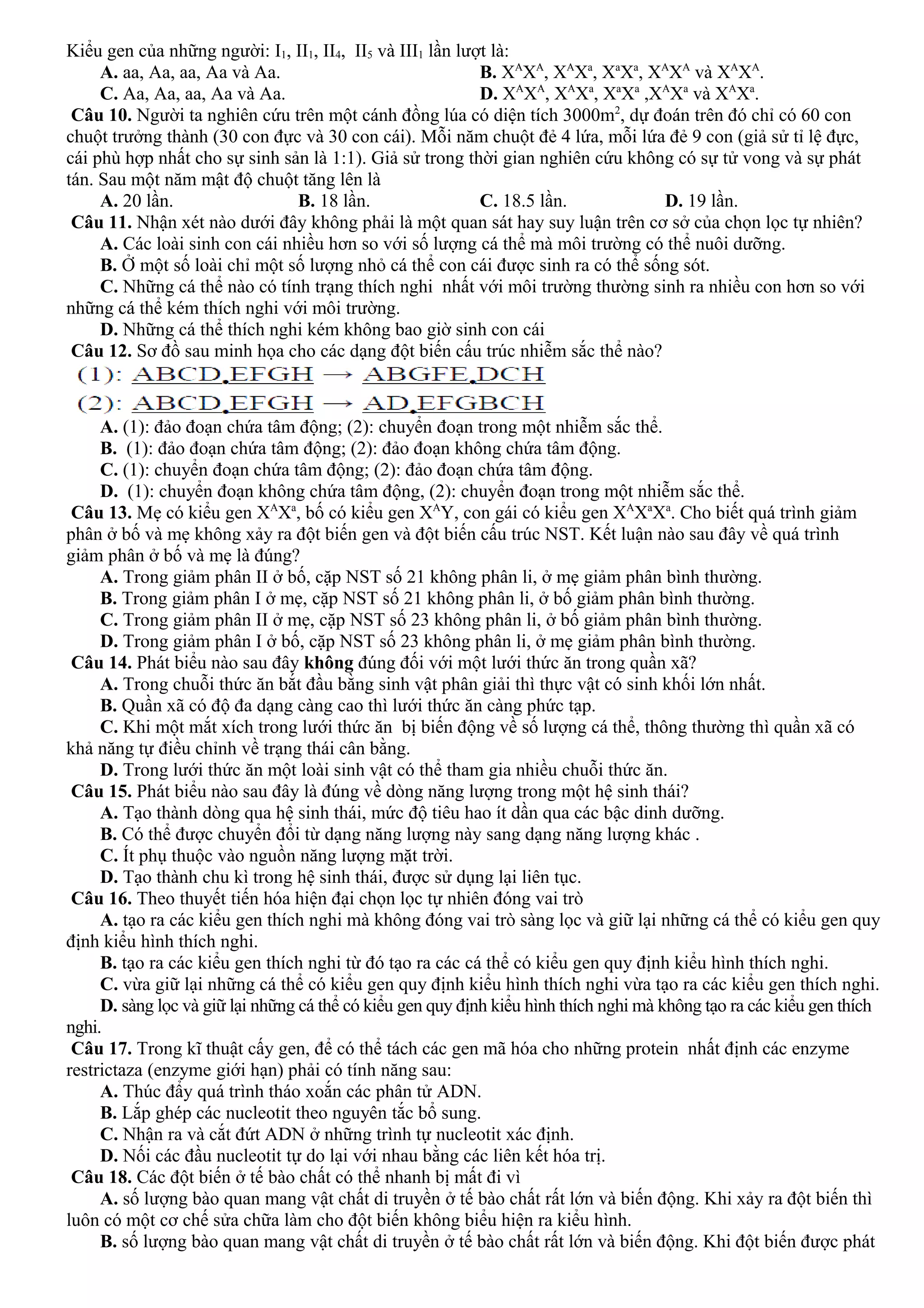 Kiểu gen của những người: I1, II1, II4, II5 và III1 lần lượt là:
A. aa, Aa, aa, Aa và Aa. B. XA
XA
, XA
Xa
, Xa
Xa
, XA
XA
và XA
XA
.
C. Aa, Aa, aa, Aa và Aa. D. XA
XA
, XA
Xa
, Xa
Xa
,XA
Xa
và XA
Xa
.
Câu 10. Người ta nghiên cứu trên một cánh đồng lúa có diện tích 3000m2
, dự đoán trên đó chỉ có 60 con
chuột trưởng thành (30 con đực và 30 con cái). Mỗi năm chuột đẻ 4 lứa, mỗi lứa đẻ 9 con (giả sử tỉ lệ đực,
cái phù hợp nhất cho sự sinh sản là 1:1). Giả sử trong thời gian nghiên cứu không có sự tử vong và sự phát
tán. Sau một năm mật độ chuột tăng lên là
A. 20 lần. B. 18 lần. C. 18.5 lần. D. 19 lần.
Câu 11. Nhận xét nào dưới đây không phải là một quan sát hay suy luận trên cơ sở của chọn lọc tự nhiên?
A. Các loài sinh con cái nhiều hơn so với số lượng cá thể mà môi trường có thể nuôi dưỡng.
B. Ở một số loài chỉ một số lượng nhỏ cá thể con cái được sinh ra có thể sống sót.
C. Những cá thể nào có tính trạng thích nghi nhất với môi trường thường sinh ra nhiều con hơn so với
những cá thể kém thích nghi với môi trường.
D. Những cá thể thích nghi kém không bao giờ sinh con cái
Câu 12. Sơ đồ sau minh họa cho các dạng đột biến cấu trúc nhiễm sắc thể nào?
A. (1): đảo đoạn chứa tâm động; (2): chuyển đoạn trong một nhiễm sắc thể.
B. (1): đảo đoạn chứa tâm động; (2): đảo đoạn không chứa tâm động.
C. (1): chuyển đoạn chứa tâm động; (2): đảo đoạn chứa tâm động.
D. (1): chuyển đoạn không chứa tâm động, (2): chuyển đoạn trong một nhiễm sắc thể.
Câu 13. Mẹ có kiểu gen XA
Xa
, bố có kiểu gen XA
Y, con gái có kiểu gen XA
Xa
Xa
. Cho biết quá trình giảm
phân ở bố và mẹ không xảy ra đột biến gen và đột biến cấu trúc NST. Kết luận nào sau đây về quá trình
giảm phân ở bố và mẹ là đúng?
A. Trong giảm phân II ở bố, cặp NST số 21 không phân li, ở mẹ giảm phân bình thường.
B. Trong giảm phân I ở mẹ, cặp NST số 21 không phân li, ở bố giảm phân bình thường.
C. Trong giảm phân II ở mẹ, cặp NST số 23 không phân li, ở bố giảm phân bình thường.
D. Trong giảm phân I ở bố, cặp NST số 23 không phân li, ở mẹ giảm phân bình thường.
Câu 14. Phát biểu nào sau đây không đúng đối với một lưới thức ăn trong quần xã?
A. Trong chuỗi thức ăn bắt đầu bằng sinh vật phân giải thì thực vật có sinh khối lớn nhất.
B. Quần xã có độ đa dạng càng cao thì lưới thức ăn càng phức tạp.
C. Khi một mắt xích trong lưới thức ăn bị biến động về số lượng cá thể, thông thường thì quần xã có
khả năng tự điều chỉnh về trạng thái cân bằng.
D. Trong lưới thức ăn một loài sinh vật có thể tham gia nhiều chuỗi thức ăn.
Câu 15. Phát biểu nào sau đây là đúng về dòng năng lượng trong một hệ sinh thái?
A. Tạo thành dòng qua hệ sinh thái, mức độ tiêu hao ít dần qua các bậc dinh dưỡng.
B. Có thể được chuyển đổi từ dạng năng lượng này sang dạng năng lượng khác .
C. Ít phụ thuộc vào nguồn năng lượng mặt trời.
D. Tạo thành chu kì trong hệ sinh thái, được sử dụng lại liên tục.
Câu 16. Theo thuyết tiến hóa hiện đại chọn lọc tự nhiên đóng vai trò
A. tạo ra các kiểu gen thích nghi mà không đóng vai trò sàng lọc và giữ lại những cá thể có kiểu gen quy
định kiểu hình thích nghi.
B. tạo ra các kiểu gen thích nghi từ đó tạo ra các cá thể có kiểu gen quy định kiểu hình thích nghi.
C. vừa giữ lại những cá thể có kiểu gen quy định kiểu hình thích nghi vừa tạo ra các kiểu gen thích nghi.
D. sàng lọc và giữ lại những cá thể có kiểu gen quy định kiểu hình thích nghi mà không tạo ra các kiểu gen thích
nghi.
Câu 17. Trong kĩ thuật cấy gen, để có thể tách các gen mã hóa cho những protein nhất định các enzyme
restrictaza (enzyme giới hạn) phải có tính năng sau:
A. Thúc đẩy quá trình tháo xoắn các phân tử ADN.
B. Lắp ghép các nucleotit theo nguyên tắc bổ sung.
C. Nhận ra và cắt đứt ADN ở những trình tự nucleotit xác định.
D. Nối các đầu nucleotit tự do lại với nhau bằng các liên kết hóa trị.
Câu 18. Các đột biến ở tế bào chất có thể nhanh bị mất đi vì
A. số lượng bào quan mang vật chất di truyền ở tế bào chất rất lớn và biến động. Khi xảy ra đột biến thì
luôn có một cơ chế sửa chữa làm cho đột biến không biểu hiện ra kiểu hình.
B. số lượng bào quan mang vật chất di truyền ở tế bào chất rất lớn và biến động. Khi đột biến được phát
 