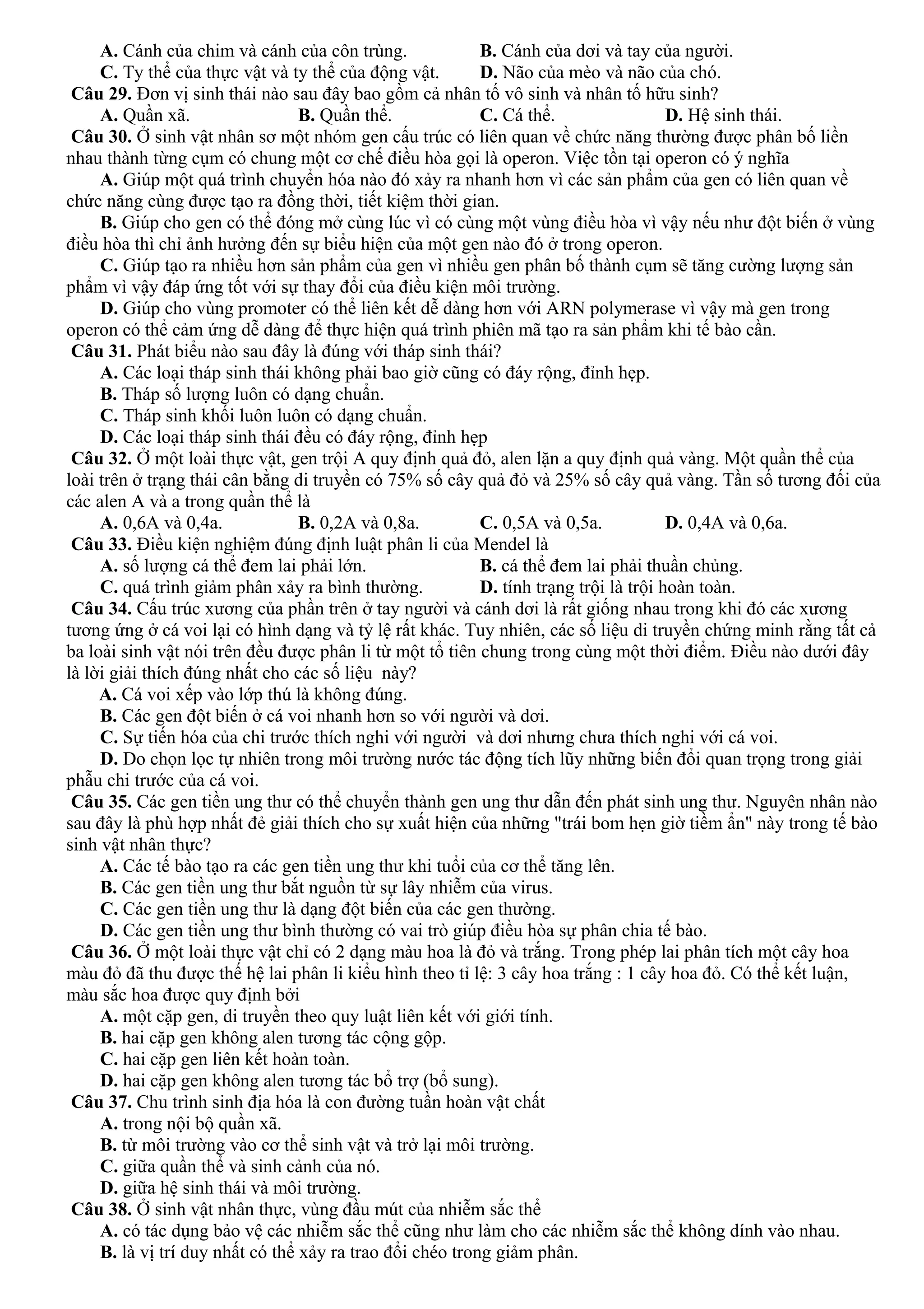 A. Cánh của chim và cánh của côn trùng. B. Cánh của dơi và tay của người.
C. Ty thể của thực vật và ty thể của động vật. D. Não của mèo và não của chó.
Câu 29. Đơn vị sinh thái nào sau đây bao gồm cả nhân tố vô sinh và nhân tố hữu sinh?
A. Quần xã. B. Quần thể. C. Cá thể. D. Hệ sinh thái.
Câu 30. Ở sinh vật nhân sơ một nhóm gen cấu trúc có liên quan về chức năng thường được phân bố liền
nhau thành từng cụm có chung một cơ chế điều hòa gọi là operon. Việc tồn tại operon có ý nghĩa
A. Giúp một quá trình chuyển hóa nào đó xảy ra nhanh hơn vì các sản phẩm của gen có liên quan về
chức năng cùng được tạo ra đồng thời, tiết kiệm thời gian.
B. Giúp cho gen có thể đóng mở cùng lúc vì có cùng một vùng điều hòa vì vậy nếu như đột biến ở vùng
điều hòa thì chỉ ảnh hưởng đến sự biểu hiện của một gen nào đó ở trong operon.
C. Giúp tạo ra nhiều hơn sản phẩm của gen vì nhiều gen phân bố thành cụm sẽ tăng cường lượng sản
phẩm vì vậy đáp ứng tốt với sự thay đổi của điều kiện môi trường.
D. Giúp cho vùng promoter có thể liên kết dễ dàng hơn với ARN polymerase vì vậy mà gen trong
operon có thể cảm ứng dễ dàng để thực hiện quá trình phiên mã tạo ra sản phẩm khi tế bào cần.
Câu 31. Phát biểu nào sau đây là đúng với tháp sinh thái?
A. Các loại tháp sinh thái không phải bao giờ cũng có đáy rộng, đỉnh hẹp.
B. Tháp số lượng luôn có dạng chuẩn.
C. Tháp sinh khối luôn luôn có dạng chuẩn.
D. Các loại tháp sinh thái đều có đáy rộng, đỉnh hẹp
Câu 32. Ở một loài thực vật, gen trội A quy định quả đỏ, alen lặn a quy định quả vàng. Một quần thể của
loài trên ở trạng thái cân bằng di truyền có 75% số cây quả đỏ và 25% số cây quả vàng. Tần số tương đối của
các alen A và a trong quần thể là
A. 0,6A và 0,4a. B. 0,2A và 0,8a. C. 0,5A và 0,5a. D. 0,4A và 0,6a.
Câu 33. Điều kiện nghiệm đúng định luật phân li của Mendel là
A. số lượng cá thể đem lai phải lớn. B. cá thể đem lai phải thuần chủng.
C. quá trình giảm phân xảy ra bình thường. D. tính trạng trội là trội hoàn toàn.
Câu 34. Cấu trúc xương của phần trên ở tay người và cánh dơi là rất giống nhau trong khi đó các xương
tương ứng ở cá voi lại có hình dạng và tỷ lệ rất khác. Tuy nhiên, các số liệu di truyền chứng minh rằng tất cả
ba loài sinh vật nói trên đều được phân li từ một tổ tiên chung trong cùng một thời điểm. Điều nào dưới đây
là lời giải thích đúng nhất cho các số liệu này?
A. Cá voi xếp vào lớp thú là không đúng.
B. Các gen đột biến ở cá voi nhanh hơn so với người và dơi.
C. Sự tiến hóa của chi trước thích nghi với người và dơi nhưng chưa thích nghi với cá voi.
D. Do chọn lọc tự nhiên trong môi trường nước tác động tích lũy những biến đổi quan trọng trong giải
phẫu chi trước của cá voi.
Câu 35. Các gen tiền ung thư có thể chuyển thành gen ung thư dẫn đến phát sinh ung thư. Nguyên nhân nào
sau đây là phù hợp nhất đẻ giải thích cho sự xuất hiện của những "trái bom hẹn giờ tiềm ẩn" này trong tế bào
sinh vật nhân thực?
A. Các tế bào tạo ra các gen tiền ung thư khi tuổi của cơ thể tăng lên.
B. Các gen tiền ung thư bắt nguồn từ sự lây nhiễm của virus.
C. Các gen tiền ung thư là dạng đột biến của các gen thường.
D. Các gen tiền ung thư bình thường có vai trò giúp điều hòa sự phân chia tế bào.
Câu 36. Ở một loài thực vật chỉ có 2 dạng màu hoa là đỏ và trắng. Trong phép lai phân tích một cây hoa
màu đỏ đã thu được thế hệ lai phân li kiểu hình theo tỉ lệ: 3 cây hoa trắng : 1 cây hoa đỏ. Có thể kết luận,
màu sắc hoa được quy định bởi
A. một cặp gen, di truyền theo quy luật liên kết với giới tính.
B. hai cặp gen không alen tương tác cộng gộp.
C. hai cặp gen liên kết hoàn toàn.
D. hai cặp gen không alen tương tác bổ trợ (bổ sung).
Câu 37. Chu trình sinh địa hóa là con đường tuần hoàn vật chất
A. trong nội bộ quần xã.
B. từ môi trường vào cơ thể sinh vật và trở lại môi trường.
C. giữa quần thể và sinh cảnh của nó.
D. giữa hệ sinh thái và môi trường.
Câu 38. Ở sinh vật nhân thực, vùng đầu mút của nhiễm sắc thể
A. có tác dụng bảo vệ các nhiễm sắc thể cũng như làm cho các nhiễm sắc thể không dính vào nhau.
B. là vị trí duy nhất có thể xảy ra trao đổi chéo trong giảm phân.
 