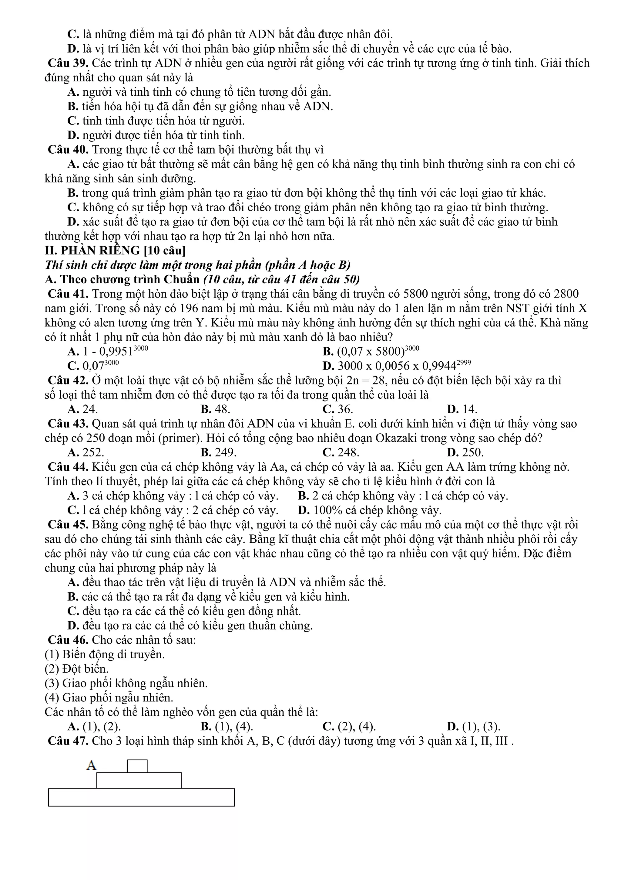C. là những điểm mà tại đó phân tử ADN bắt đầu được nhân đôi.
D. là vị trí liên kết với thoi phân bào giúp nhiễm sắc thể di chuyển về các cực của tế bào.
Câu 39. Các trình tự ADN ở nhiều gen của người rất giống với các trình tự tương ứng ở tinh tinh. Giải thích
đúng nhất cho quan sát này là
A. người và tinh tinh có chung tổ tiên tương đối gần.
B. tiến hóa hội tụ đã dẫn đến sự giống nhau về ADN.
C. tinh tinh được tiến hóa từ người.
D. người được tiến hóa từ tinh tinh.
Câu 40. Trong thực tế cơ thể tam bội thường bất thụ vì
A. các giao tử bất thường sẽ mất cân bằng hệ gen có khả năng thụ tinh bình thường sinh ra con chỉ có
khả năng sinh sản sinh dưỡng.
B. trong quá trình giảm phân tạo ra giao tử đơn bội không thể thụ tinh với các loại giao tử khác.
C. không có sự tiếp hợp và trao đổi chéo trong giảm phân nên không tạo ra giao tử bình thường.
D. xác suất để tạo ra giao tử đơn bội của cơ thể tam bội là rất nhỏ nên xác suất để các giao tử bình
thường kết hợp với nhau tạo ra hợp tử 2n lại nhỏ hơn nữa.
II. PHẦN RIÊNG [10 câu]
Thí sinh chỉ được làm một trong hai phần (phần A hoặc B)
A. Theo chương trình Chuẩn (10 câu, từ câu 41 đến câu 50)
Câu 41. Trong một hòn đảo biệt lập ở trạng thái cân bằng di truyền có 5800 người sống, trong đó có 2800
nam giới. Trong số này có 196 nam bị mù màu. Kiểu mù màu này do 1 alen lặn m nằm trên NST giới tính X
không có alen tương ứng trên Y. Kiểu mù màu này không ảnh hưởng đến sự thích nghi của cá thể. Khả năng
có ít nhất 1 phụ nữ của hòn đảo này bị mù màu xanh đỏ là bao nhiêu?
A. 1 - 0,99513000
B. (0,07 x 5800)3000
C. 0,073000
D. 3000 x 0,0056 x 0,99442999
Câu 42. Ở một loài thực vật có bộ nhiễm sắc thể lưỡng bội 2n = 28, nếu có đột biến lệch bội xảy ra thì
số loại thể tam nhiễm đơn có thể được tạo ra tối đa trong quần thể của loài là
A. 24. B. 48. C. 36. D. 14.
Câu 43. Quan sát quá trình tự nhân đôi ADN của vi khuẩn E. coli dưới kính hiển vi điện tử thấy vòng sao
chép có 250 đoạn mồi (primer). Hỏi có tổng cộng bao nhiêu đoạn Okazaki trong vòng sao chép đó?
A. 252. B. 249. C. 248. D. 250.
Câu 44. Kiểu gen của cá chép không vảy là Aa, cá chép có vảy là aa. Kiểu gen AA làm trứng không nở.
Tính theo lí thuyết, phép lai giữa các cá chép không vảy sẽ cho tỉ lệ kiểu hình ở đời con là
A. 3 cá chép không vảy : l cá chép có vảy. B. 2 cá chép không vảy : l cá chép có vảy.
C. l cá chép không vảy : 2 cá chép có vảy. D. 100% cá chép không vảy.
Câu 45. Bằng công nghệ tế bào thực vật, người ta có thể nuôi cấy các mẩu mô của một cơ thể thực vật rồi
sau đó cho chúng tái sinh thành các cây. Bằng kĩ thuật chia cắt một phôi động vật thành nhiều phôi rồi cấy
các phôi này vào tử cung của các con vật khác nhau cũng có thể tạo ra nhiều con vật quý hiếm. Đặc điểm
chung của hai phương pháp này là
A. đều thao tác trên vật liệu di truyền là ADN và nhiễm sắc thể.
B. các cá thể tạo ra rất đa dạng về kiểu gen và kiểu hình.
C. đều tạo ra các cá thể có kiểu gen đồng nhất.
D. đều tạo ra các cá thể có kiểu gen thuần chủng.
Câu 46. Cho các nhân tố sau:
(1) Biến động di truyền.
(2) Đột biến.
(3) Giao phối không ngẫu nhiên.
(4) Giao phối ngẫu nhiên.
Các nhân tố có thể làm nghèo vốn gen của quần thể là:
A. (1), (2). B. (1), (4). C. (2), (4). D. (1), (3).
Câu 47. Cho 3 loại hình tháp sinh khối A, B, C (dưới đây) tương ứng với 3 quần xã I, II, III .
 