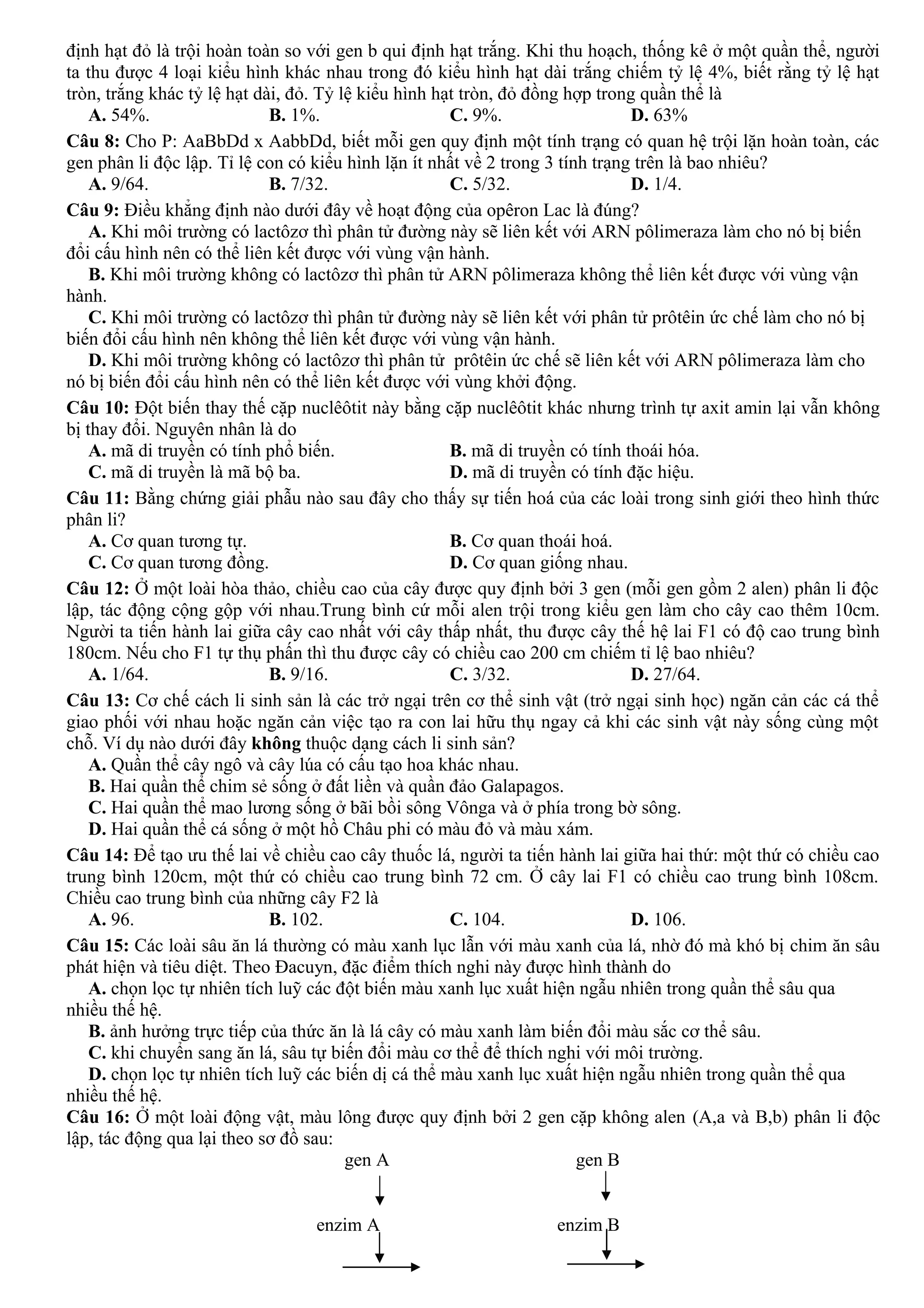định hạt đỏ là trội hoàn toàn so với gen b qui định hạt trắng. Khi thu hoạch, thống kê ở một quần thể, người
ta thu được 4 loại kiểu hình khác nhau trong đó kiểu hình hạt dài trắng chiếm tỷ lệ 4%, biết rằng tỷ lệ hạt
tròn, trắng khác tỷ lệ hạt dài, đỏ. Tỷ lệ kiểu hình hạt tròn, đỏ đồng hợp trong quần thể là
A. 54%. B. 1%. C. 9%. D. 63%
Câu 8: Cho P: AaBbDd x AabbDd, biết mỗi gen quy định một tính trạng có quan hệ trội lặn hoàn toàn, các
gen phân li độc lập. Tỉ lệ con có kiểu hình lặn ít nhất về 2 trong 3 tính trạng trên là bao nhiêu?
A. 9/64. B. 7/32. C. 5/32. D. 1/4.
Câu 9: Điều khẳng định nào dưới đây về hoạt động của opêron Lac là đúng?
A. Khi môi trường có lactôzơ thì phân tử đường này sẽ liên kết với ARN pôlimeraza làm cho nó bị biến
đổi cấu hình nên có thể liên kết được với vùng vận hành.
B. Khi môi trường không có lactôzơ thì phân tử ARN pôlimeraza không thể liên kết được với vùng vận
hành.
C. Khi môi trường có lactôzơ thì phân tử đường này sẽ liên kết với phân tử prôtêin ức chế làm cho nó bị
biến đổi cấu hình nên không thể liên kết được với vùng vận hành.
D. Khi môi trường không có lactôzơ thì phân tử prôtêin ức chế sẽ liên kết với ARN pôlimeraza làm cho
nó bị biến đổi cấu hình nên có thể liên kết được với vùng khởi động.
Câu 10: Đột biến thay thế cặp nuclêôtit này bằng cặp nuclêôtit khác nhưng trình tự axit amin lại vẫn không
bị thay đổi. Nguyên nhân là do
A. mã di truyền có tính phổ biến. B. mã di truyền có tính thoái hóa.
C. mã di truyền là mã bộ ba. D. mã di truyền có tính đặc hiệu.
Câu 11: Bằng chứng giải phẫu nào sau đây cho thấy sự tiến hoá của các loài trong sinh giới theo hình thức
phân li?
A. Cơ quan tương tự. B. Cơ quan thoái hoá.
C. Cơ quan tương đồng. D. Cơ quan giống nhau.
Câu 12: Ở một loài hòa thảo, chiều cao của cây được quy định bởi 3 gen (mỗi gen gồm 2 alen) phân li độc
lập, tác động cộng gộp với nhau.Trung bình cứ mỗi alen trội trong kiểu gen làm cho cây cao thêm 10cm.
Người ta tiến hành lai giữa cây cao nhất với cây thấp nhất, thu được cây thế hệ lai F1 có độ cao trung bình
180cm. Nếu cho F1 tự thụ phấn thì thu được cây có chiều cao 200 cm chiếm tỉ lệ bao nhiêu?
A. 1/64. B. 9/16. C. 3/32. D. 27/64.
Câu 13: Cơ chế cách li sinh sản là các trở ngại trên cơ thể sinh vật (trở ngại sinh học) ngăn cản các cá thể
giao phối với nhau hoặc ngăn cản việc tạo ra con lai hữu thụ ngay cả khi các sinh vật này sống cùng một
chỗ. Ví dụ nào dưới đây không thuộc dạng cách li sinh sản?
A. Quần thể cây ngô và cây lúa có cấu tạo hoa khác nhau.
B. Hai quần thể chim sẻ sống ở đất liền và quần đảo Galapagos.
C. Hai quần thể mao lương sống ở bãi bồi sông Vônga và ở phía trong bờ sông.
D. Hai quần thể cá sống ở một hồ Châu phi có màu đỏ và màu xám.
Câu 14: Để tạo ưu thế lai về chiều cao cây thuốc lá, người ta tiến hành lai giữa hai thứ: một thứ có chiều cao
trung bình 120cm, một thứ có chiều cao trung bình 72 cm. Ở cây lai F1 có chiều cao trung bình 108cm.
Chiều cao trung bình của những cây F2 là
A. 96. B. 102. C. 104. D. 106.
Câu 15: Các loài sâu ăn lá thường có màu xanh lục lẫn với màu xanh của lá, nhờ đó mà khó bị chim ăn sâu
phát hiện và tiêu diệt. Theo Đacuyn, đặc điểm thích nghi này được hình thành do
A. chọn lọc tự nhiên tích luỹ các đột biến màu xanh lục xuất hiện ngẫu nhiên trong quần thể sâu qua
nhiều thế hệ.
B. ảnh hưởng trực tiếp của thức ăn là lá cây có màu xanh làm biến đổi màu sắc cơ thể sâu.
C. khi chuyển sang ăn lá, sâu tự biến đổi màu cơ thể để thích nghi với môi trường.
D. chọn lọc tự nhiên tích luỹ các biến dị cá thể màu xanh lục xuất hiện ngẫu nhiên trong quần thể qua
nhiều thế hệ.
Câu 16: Ở một loài động vật, màu lông được quy định bởi 2 gen cặp không alen (A,a và B,b) phân li độc
lập, tác động qua lại theo sơ đồ sau:
gen A gen B
enzim A enzim B
 