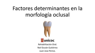 Factores determinantes en la
morfología oclusal
Rehabilitación Oral.
Neil Duván Gutiérrez
Juan Jose Perico.
 