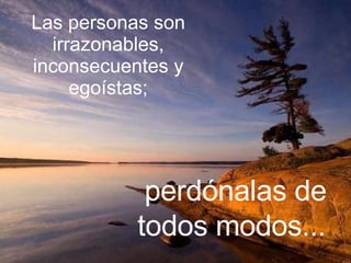 Las personas son irrazonables, inconsecuentes y egoístas; perdónalas de todos modos...
