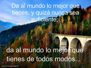 Da al mundo lo mejor que tienes, y quizá nunca sea suficiente; da al mundo lo mejor que tienes de todos modos... Photo by Francesco Maldovian