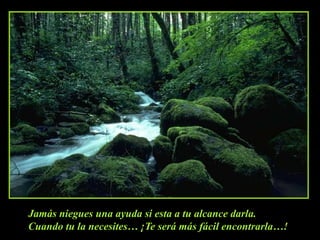Jamás niegues una ayuda si esta a tu alcance darla.
Cuando tu la necesites… ¡Te será más fácil encontrarla…!
 