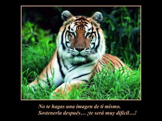 No te hagas una imagen de ti mismo.Sostenerla después… ¡te será muy difícil…!