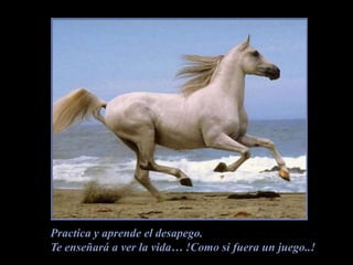 Practica y aprende el desapego.Te enseñará a ver la vida… !Como si fuera un juego..!