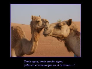 Toma agua, toma mucha agua.¡Más en el verano que en el invierno…!
