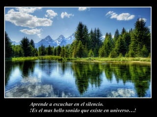 Aprende a escuchar en el silencio.!Es el mas bello sonido que existe en universo…!