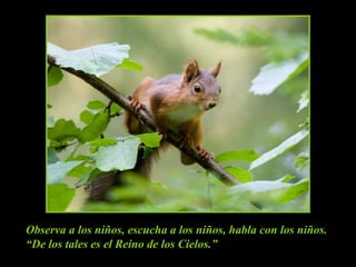 Observa a los niños, escucha a los niños, habla con los niños.“De los tales es el Reino de los Cielos.”