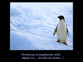 Permite que tu imaginación vuele.Alguna vez… ¡Escribe un cuento…!