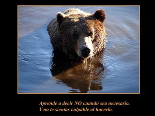 Aprende a decir NO cuando sea necesario.Y no te sientas culpable al hacerlo.