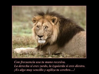 Con frecuencia usa tu mano recesiva.La derecha si eres zurdo, la izquierda si eres diestro.¡Es algo muy sencillo y agiliza tu cerebro…!