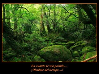 En cuanto te sea posible…¡Olvídate del tiempo…!