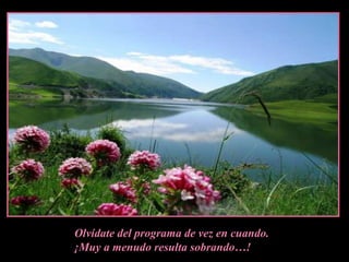 Olvídate del programa de vez en cuando.¡Muy a menudo resulta sobrando…!