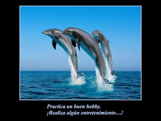 Practica un buen hobby.¡Realiza algún entretenimiento…!