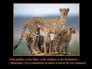 A tus padres, a tus hijos, a tus amigos, a tus hermanos…¡Abrázalos..!Les comunicas tu amor a través de ese contacto.