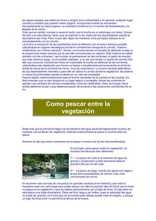 las aguas paradas que estén por el sol y tengan poca profundidad y en general, cualquier lugar
cercano a vertidos que puedan restar oxigeno. Aunque las truchas se encuentren
frecuentemente en estos lugares, su actividad comienza con el cambio de temperaturas y la
llegada de la noche.
Creo que es verdad, aunque a veces lo dudo, que la trucha es un estomago con boca. Comen
de todo y en abundancia, tanto, que se exponen a ser vistas por los depredadores cuando la
abundancia les invita. Pero no por ello, dejan de mantener unos principios básicos en el
comportamiento con la comida.
La trucha (a excepción de las repobladas) toma el alimento con el menor esfuerzo posible,
colocándose en lugares estratégicos donde la corriente les transporta la comida; "máximo
rendimiento con mínimo esfuerzo". Nunca, una trucha tomara un bocado de alimento si este no
le proporciona mayor energía que la que ella consume para su captura. Esta máxima es valida
también con las corrientes. Las truchas no permanecen en las corrientes, el gasto de energía
que este esfuerzo exige, no es posible realizarlo, a no ser que reciba un aporte de comida más
alto que consume. Durante las horas de inactividad, la trucha se defiende de las corrientes
colocándose tras obstáculos que frenan su fuerza o simplemente permaneciendo en el fondo
donde la fuerza de la corriente es menor. (Ley de rozamiento). La trucha necesita defenderse
de sus depredadores naturales y para ello se coloca en zonas donde la vegetación, las piedras
o incluso la profundidad puedan ocultarla en un caso de necesidad.
Hemos dejado intencionadamente para el final la necesidad de la comida en las truchas. Es
fácil entender que un pez situado en un lugar seguro y protegido, donde las corrientes le
aporten una cantidad de comida considerable, luche por defenderlo. Este, es el lugar hacia
donde debemos lanzar y que debemos buscar de acuerdo a las situaciones cambiantes de un
río.




                    Como pescar entre la
                       vegetación

Nada más que la primavera llega y la temperatura del agua asciende ligeramente muchos de
nuestros ríos se llenan de vegetación vedando prácticamente la pesca a muchos artes de
pesca.

Siempre se dijo que estos momentos era la pesca a mosca una de las más beneficiadas.

                                         En principio, para pescar sobre la vegetación, se
                                         requiere dos técnicas bien diferentes:

                                         1ª. – La pesca en corto si el volumen de agua es
                                         grande y el pescador puede acercarse hasta la
                                         posición del pez sin ser visto.

                                         2ª. – La pesca en largo cuando las aguas son bajas y
                                         el pez tiene posibilidades de vernos o aun más
                                         comúnmente de oírnos.

En el primer caso se trata de una pesca sin grandes cambios en le material, pues todo lo
necesario será una caña larga para poder pescar con ella en posición alta de forma que la línea
no pegue en la vegetación y que se realiza prácticamente con el bajo de línea. El bajo tiene en
esta pesca una triple importancia. Debe ser fino, largo y sin brillos, pues la velocidad del agua
no suele ser grande y la trucha que se encuentra justo debajo puede notar el engaño, y porque
un bajo de línea corto no permitiría la deriva de la mosca.
 