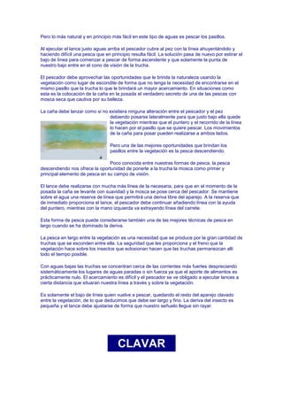 Pero lo más natural y en principio más fácil en este tipo de aguas es pescar los pasillos.

Al ejecutar el lance justo aguas arriba el pescador cubre al pez con la línea ahuyentándolo y
haciendo difícil una pesca que en principio resulta fácil. La solución pasa de nuevo por estirar el
bajo de línea para comenzar a pescar de forma ascendente y que solamente la punta de
nuestro bajo entre en el cono de visión de la trucha.

El pescador debe aprovechar las oportunidades que le brinde la naturaleza usando la
vegetación como lugar de escondite de forma que no tenga la necesidad de encontrarse en el
mismo pasillo que la trucha lo que le brindará un mayor acercamiento. En situaciones como
esta es la colocación de la caña en la posada el verdadero secreto de una de las pescas con
mosca seca que cautiva por su belleza.

La caña debe lanzar como si no existiera ninguna alteración entre el pescador y el pez
                               debiendo posarse lateralmente para que justo bajo ella quede
                               la vegetación mientras que el puntero y el recorrido de la línea
                               lo hacen por el pasillo que se quiere pescar. Los movimientos
                               de la caña para posar pueden realizarse a ambos lados.

                                  Pero una de las mejores oportunidades que brindan los
                                  pasillos entre la vegetación es la pesca descendiendo.

                                Poco conocida entre nuestras formas de pesca, la pesca
descendiendo nos ofrece la oportunidad de ponerle a la trucha la mosca como primer y
principal elemento de pesca en su campo de visión.

El lance debe realizarse con mucha más línea de la necesaria, para que en el momento de la
posada la caña se levante con suavidad y la mosca se pose cerca del pescador. Se mantiene
sobre el agua una reserva de línea que permitirá una deriva libre del aparejo. A la reserva que
de inmediato proporciona el lance, el pescador debe continuar añadiendo línea con la ayuda
del puntero, mientras con la mano izquierda va extrayendo línea del carrete.

Esta forma de pesca puede considerarse también una de las mejores técnicas de pesca en
largo cuando se ha dominado la deriva.

La pesca en largo entre la vegetación es una necesidad que se produce por la gran cantidad de
truchas que se esconden entre ella. La seguridad que les proporciona y el freno que la
vegetación hace sobre los insectos que eclosionan hacen que las truchas permanezcan allí
todo el tiempo posible.

Con aguas bajas las truchas se concentran cerca de las corrientes más fuertes despreciando
sistemáticamente los lugares de aguas paradas o sin fuerza ya que el aporte de alimentos es
prácticamente nulo. El acercamiento es difícil y el pescador se ve obligado a ejecutar lances a
cierta distancia que situaran nuestra línea a través y sobre la vegetación.

Es solamente el bajo de línea quien vuelve a pescar, quedando el resto del aparejo clavado
entre la vegetación, de lo que deducimos que debe ser largo y fino. La deriva del insecto es
pequeña y el lance debe ajustarse de forma que nuestro señuelo llegue sin rayar.




                                     CLAVAR
 