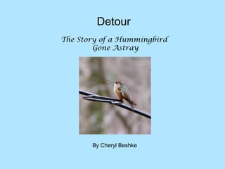 Detour
The Story of a Hummingbird
Gone Astray

By Cheryl Beshke

 