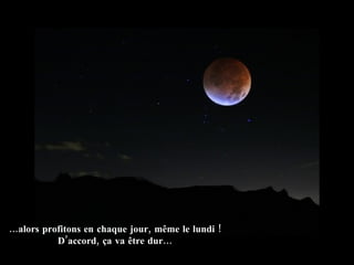 … alors profitons en chaque jour, même le lundi ! D’accord, ça va être dur… 