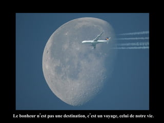 Le bonheur n’est pas une destination, c’est un voyage, celui de notre vie. 