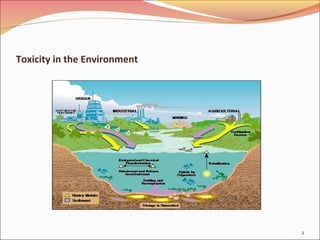 Toxicity in the Environment
2
 