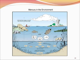 68
Mercury in the Environment
 