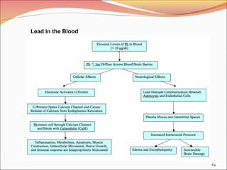 84
Lead in the Blood
 