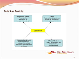 Cadmium Toxicity
93
 