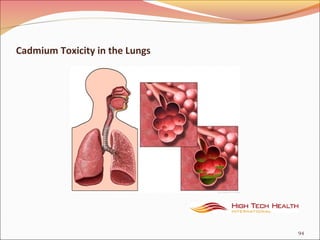Cadmium Toxicity in the Lungs
94
 