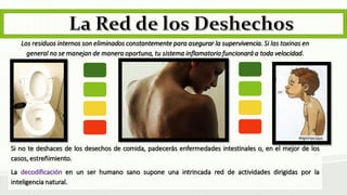 Los residuos internos son eliminados constantemente para asegurar la supervivencia. Si las toxinas en general no se manejan de manera oportuna, tu sistema inflamatorio funcionará a toda velocidad. Sinotedeshacesdelosdesechosdecomida,padecerásenfermedadesintestinaleso,enelmejordeloscasos,estreñimiento. Ladecodificaciónenunserhumanosanosuponeunaintrincadareddeactividadesdirigidasporlainteligencianatural.  