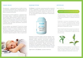 Detox+ booklet ru_polina | PPT