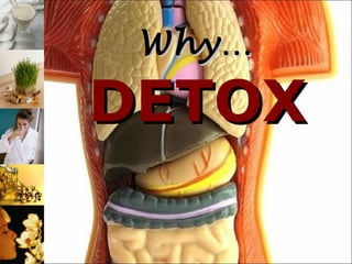 Why…

DETOX
 