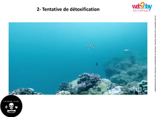 ©2015SpotPinkTousdroitsréservés.Diffusion&reproductioninterditessansaccordpréalable.
2- Tentative de détoxification
 