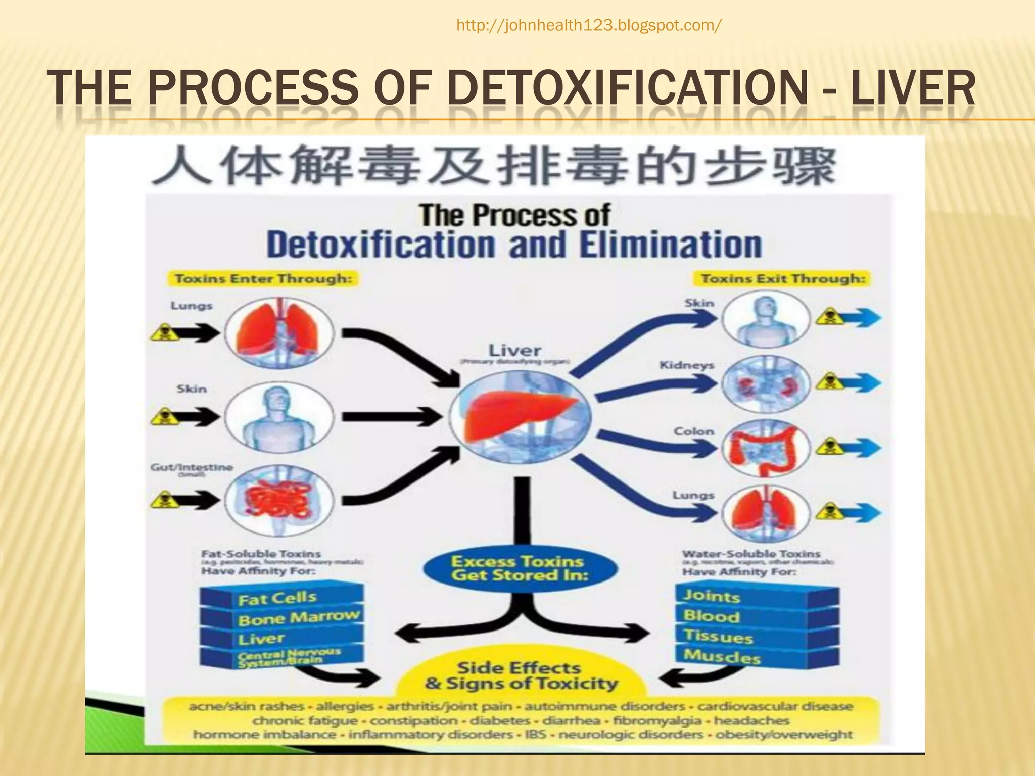 http://johnhealth123.blogspot.com/

THE PROCESS OF DETOXIFICATION - LIVER

 