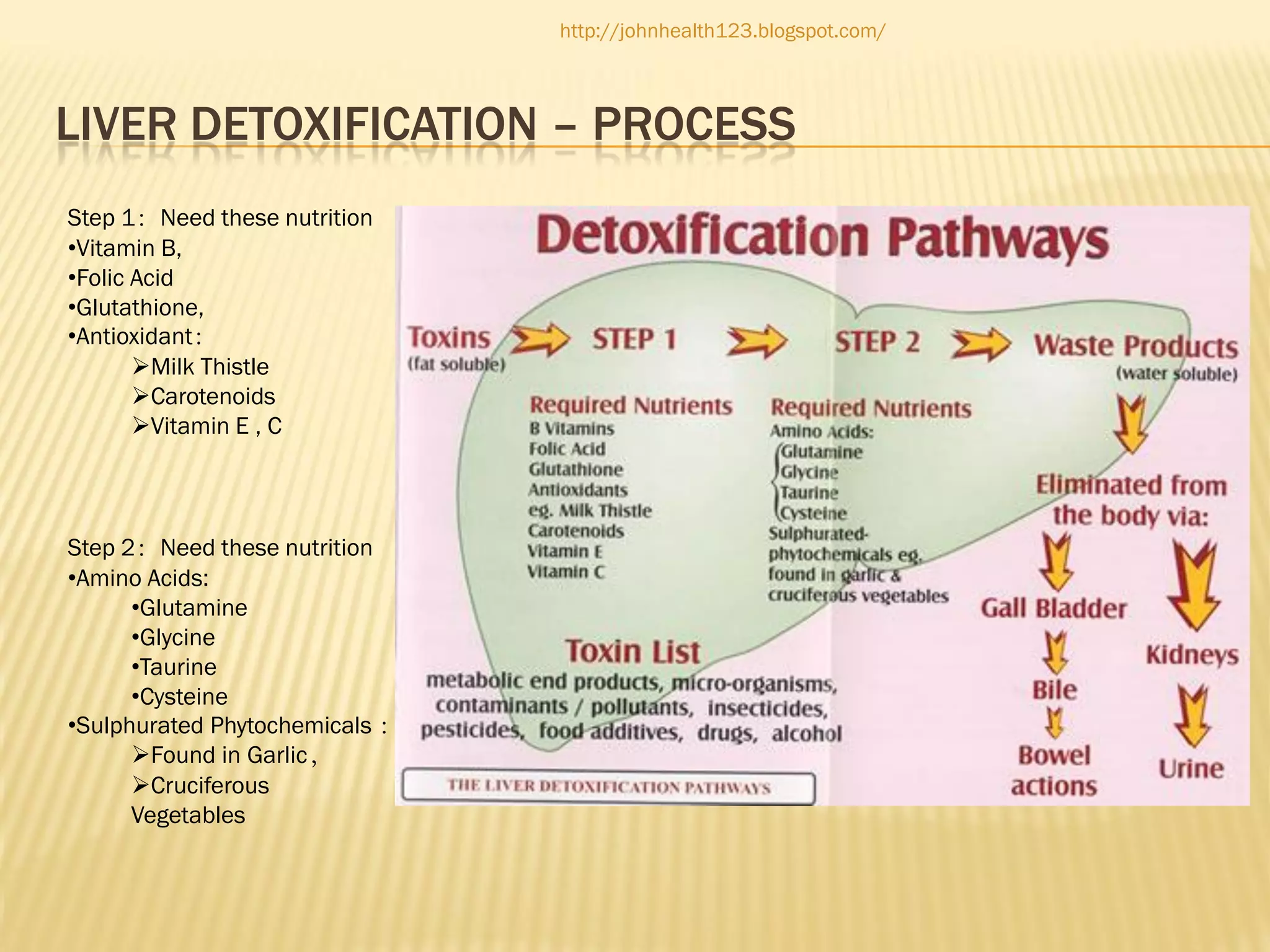http://johnhealth123.blogspot.com/

LIVER DETOXIFICATION – PROCESS
Step 1：Need these nutrition
•Vitamin B,
•Folic Acid
•Glutathione,
•Antioxidant：
Milk Thistle
Carotenoids
Vitamin E , C

Step 2：Need these nutrition
•Amino Acids:
•Glutamine
•Glycine
•Taurine
•Cysteine
•Sulphurated Phytochemicals ：
Found in Garlic，
Cruciferous
Vegetables

 