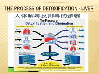 http://johnhealth123.blogspot.com/

THE PROCESS OF DETOXIFICATION - LIVER

 