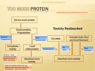 http://johnhealth123.blogspot.com/

PROTEIN

Toxicity Reabsorbed
Bacteria
unbalance

Acid
environment

Reabsorption
Bacteria，Good
probiotics can help
digest and break
down the toxicity
Meat and protein break down can
produce more acid. Acid is good for
bad bacteria ,tumor and cancer.

No
food

Stop
Excretion

 