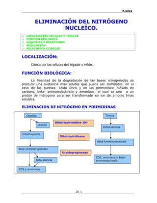 R.Silva
ELIMINACIÓN DEL NITRÓGENO
NUCLEÍCO.
 LOCALIZACIÓN CELULAR Y TISULAR
 FUNCIÓN BIOLÓGICA
 ESQUEMAS Y REACCIONES
 REGULACIÓN
 RELACIONES CLINICAS
LOCALIZACIÓN:
Citosol de las células del hígado y riñón.
FUNCIÓN BIOLÓGICA:
La finalidad de la degradación de las bases nitrogenadas es
producir una sustancia mas soluble que pueda ser eliminable. en el
caso de las purinas: ácido úrico y en las pirimidinas: dióxido de
carbono, beta- aminoisobutirato y amoniaco; el cual se une a un
protón de hidrogeno para ser transformado en ion de amonio (mas
soluble).
ELIMINACION DE NITRÓGENO EN PIRIMIDINAS
20. 1
Citosina
Uracilo
Dihidrouracilo
Beta-Ureidopropianato
Beta-alanina
CO2 y amoniaco
Timina
Dihidrotimina
Beta-Ureidoisobutirato
CO2, amoniaco y Beta-
aminoisobutirato.
Dihidriopirimidina- DH
Dihidropiridinasa
Ureidopropionasa
 