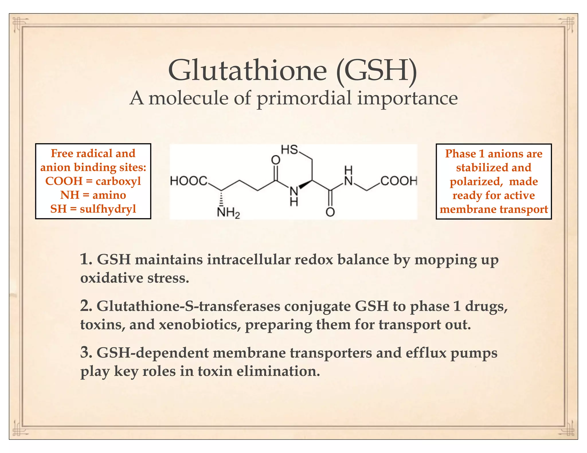 glutathione role in mycotoxin detoxification Mitochondrial antioxidant found to Anticoagulation Testing Size:Pack of 30