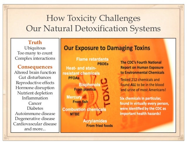 How To Detox Brian From Biotoxins detoxification How To Detox Brian From Biotoxins detoxification