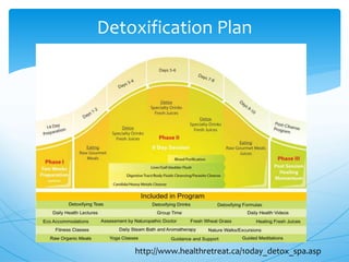 Detoxification Plan
http://www.healthretreat.ca/10day_detox_spa.asp
 