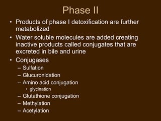 Ditoxfication Detoxification companion-doc | PPT