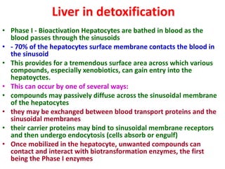 Liver in detoxification
• Phase I - Bioactivation Hepatocytes are bathed in blood as the
blood passes through the sinusoids
• - 70% of the hepatocytes surface membrane contacts the blood in
the sinusoid
• This provides for a tremendous surface area across which various
compounds, especially xenobiotics, can gain entry into the
hepatoyctes.
• This can occur by one of several ways:
• compounds may passively diffuse across the sinusoidal membrane
of the hepatocytes
• they may be exchanged between blood transport proteins and the
sinusoidal membranes
• their carrier proteins may bind to sinusoidal membrane receptors
and then undergo endocytosis (cells absorb or engulf)
• Once mobilized in the hepatocyte, unwanted compounds can
contact and interact with biotransformation enzymes, the first
being the Phase I enzymes
 