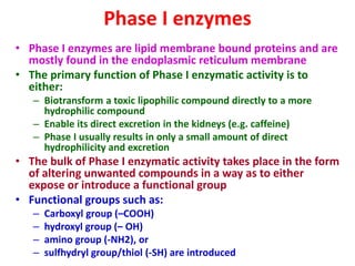 Phase I enzymes
• Phase I enzymes are lipid membrane bound proteins and are
mostly found in the endoplasmic reticulum membrane
• The primary function of Phase I enzymatic activity is to
either:
– Biotransform a toxic lipophilic compound directly to a more
hydrophilic compound
– Enable its direct excretion in the kidneys (e.g. caffeine)
– Phase I usually results in only a small amount of direct
hydrophilicity and excretion
• The bulk of Phase I enzymatic activity takes place in the form
of altering unwanted compounds in a way as to either
expose or introduce a functional group
• Functional groups such as:
– Carboxyl group (–COOH)
– hydroxyl group (– OH)
– amino group (-NH2), or
– sulfhydryl group/thiol (-SH) are introduced
 