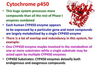 Cytochrome p450
• This huge system processes more
compounds than all the rest of Phase I
enzymes combined
• Each human CYP450 enzyme appears
to be expressed by a particular gene and most compounds
are largely metabolized by a single CYP450 enzyme
• There is a lot of overlap and redundancy in this system, for
example:
• One CYP450 enzyme maybe involved in the metabolism of
one or more substrates while a single substrate may be
acted upon by multiple CYP450 enzymes
• CYP450 Substrates: CYP450 enzymes detoxify both
endogenous and exogenous compounds
 